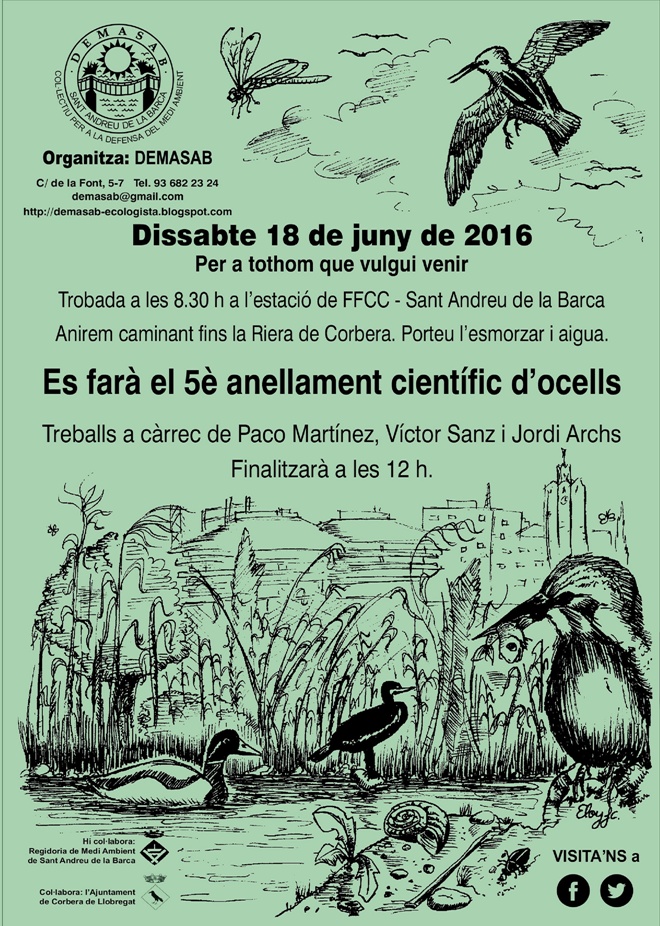 DEMASAB CARTELL OCELLS 2016-1