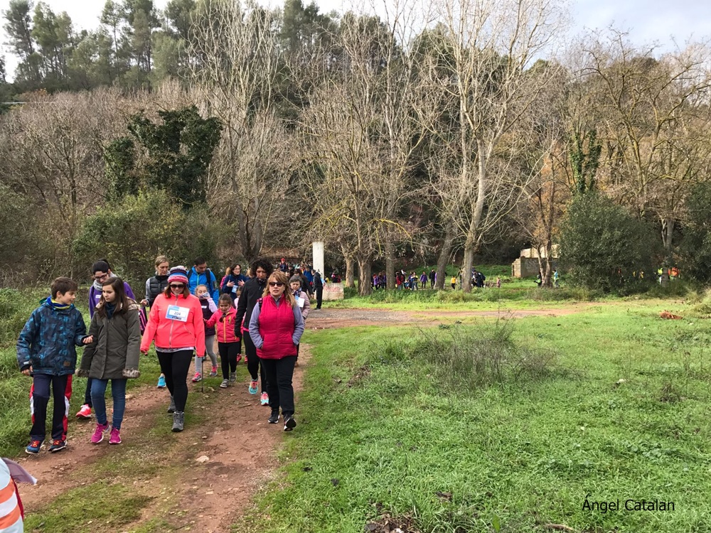 Caminada Solidària Marató TV3 Sant Andreu Barca 2016 - 15