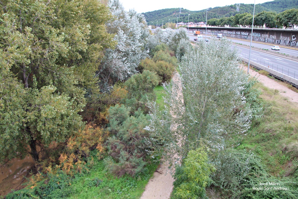 Visita OMS projecte riu Llobregat -02