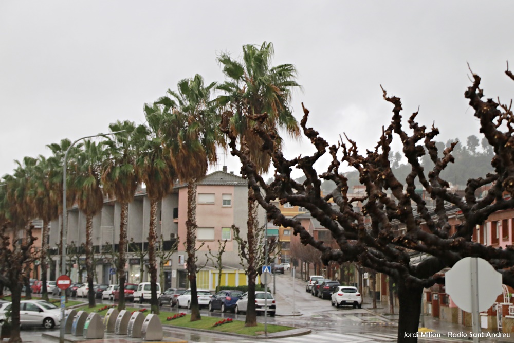 Sant Andreu de la Barca