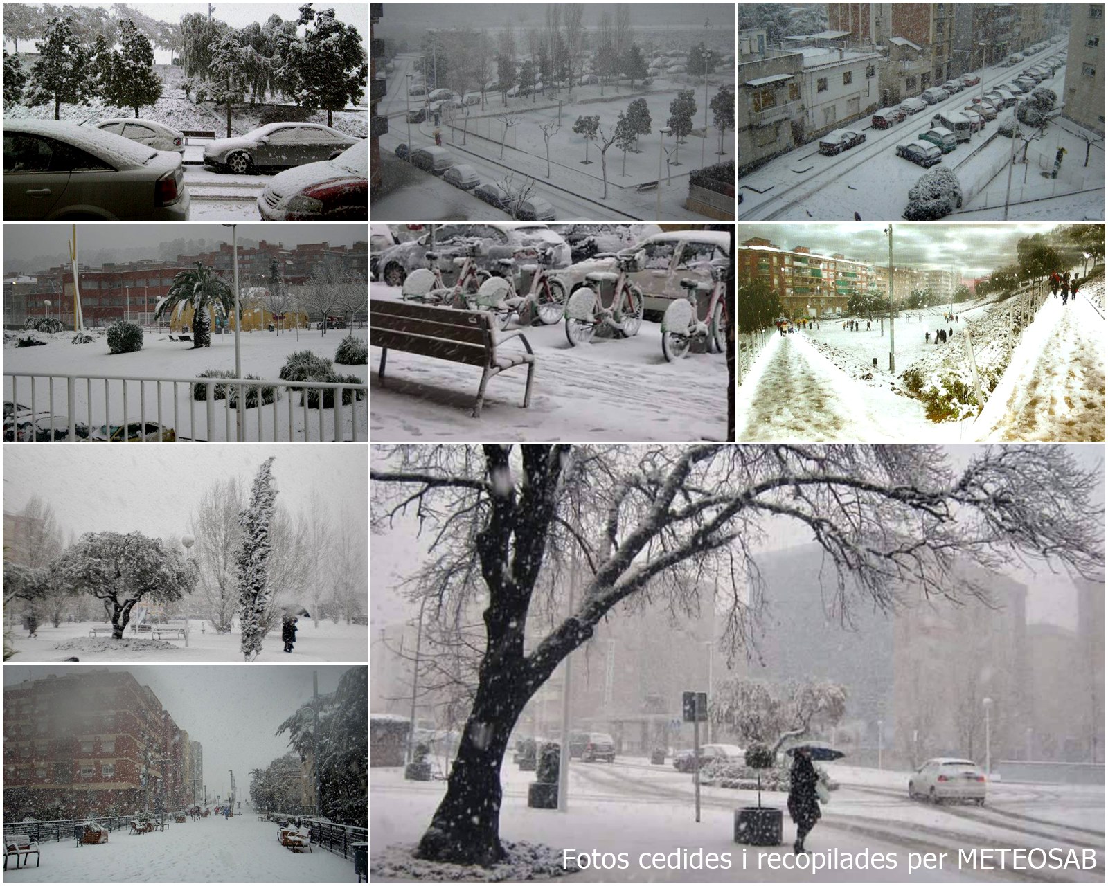Collage nevada 2010