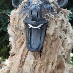 Festa Major SAB – Ossos del Pirineu 08