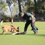 Jornades Unitats Canines Sant Andreu Barca -02