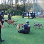 Jornades Unitats Canines Sant Andreu Barca -05