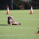 Jornades Unitats Canines Sant Andreu Barca -06