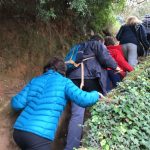 Caminada Solidària Marató TV3 Sant Andreu Barca 2016 –  17