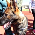 Actes celebració 25 anys Guardia Civil Sant Andreu Barca – 05