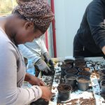 Joves Pagesos Sant Andreu de la Barca 03