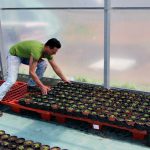 Joves Pagesos Sant Andreu de la Barca 07