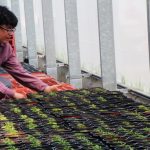 Joves Pagesos Sant Andreu de la Barca 12