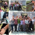 joves pages sant andreu