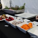 Cuina de Mercat i Espai Terra FIRA PRIMAVERA SAB 06