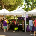 Entitats i comerços FIRA PRIMAVERA 2017 11