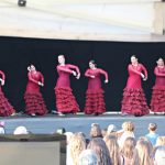 Entitats i comerços FIRA PRIMAVERA 2017 12