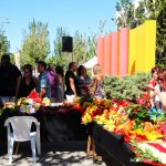 DIADA SANT ANDREU BARCA 2017 – 05