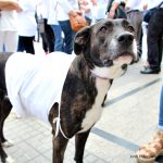 Manifestació Parlem hablemos SAB 05