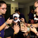 Passatge del Terror St Andreu Barca 02