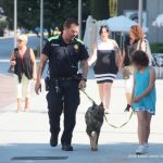 Projecte Lucía – 02