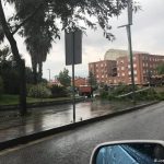 39441143_1790812270987909_7150260205761069056_n