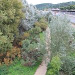 Visita OMS projecte riu Llobregat -02