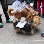 Caminada Solidària Marató TV3 2018 – 04