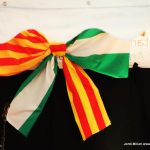 Dia Andalusia Sant Andreu Barca 2019 – 14