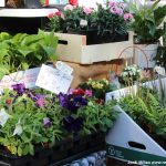 23 Fira al Carrer SAB – 04