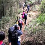 8 caminada Pi Tallat 02