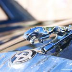 FIRA PRIMAVERA TROBADA VEHICLES CLÀSSICS 10