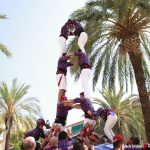 FESTA MAJOR 2019 – Diada Castellers de l’Adroc 11