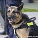 Acte patró Policia Local Sant Andreu Barca 06