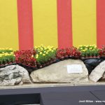 Diada Sant Andreu de la Barca 2019 – 02