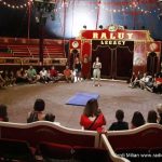 Visita Circ Raluy Legacy 11