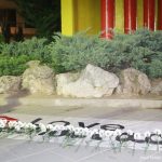 Comemoració 1-0 Samt Andreu Barca  2019 – 04