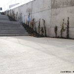 Inauguració pasarel·la 2019 – 05