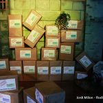 Carters Reials 2020 -06