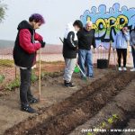 Hort Institut Montserrat Roig 04