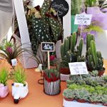 25 FIRA AL CARRER – 12