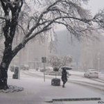 Avenida Constitución 1