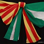 Dia Andalusia Sant Andreu de la Barca 10