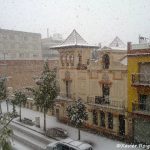 Xavier Roig de Moya2