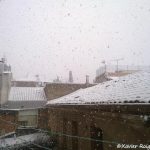 Xavier Roig de Moya3