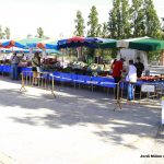 Mercat Setmanal COVID19- 04