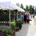 MERCAT SETMANAL 12 JUNY – 06