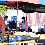 MERCAT SETMANAL 12 JUNY – 11