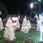 Encesa llums Nadal 2020 – 04