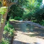 jhonda_roman_120843283_1022941148146716_5840387369759545729_n