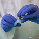 Segona fase vacuna Covid 19  03