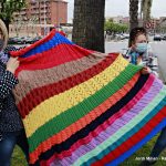 Guarniment palmeres av Constitució – 02ç