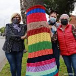 Guarniment palmeres av Constitució – 03